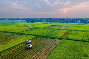 Nâng tầm nông nghiệp Việt: Từ "điểm sáng" đến "con đường mới"