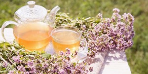 9 lợi ích tuyệt vời của trà Oregano đối với sức khỏe