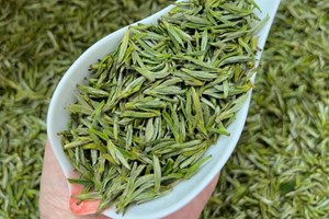 Hoàng Sơn Mao Phong – Hương vị tinh hoa từ dãy núi huyền thoại