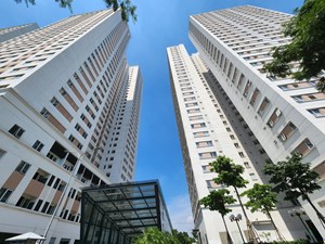 Giá căn hộ đầu năm 2026: Tín hiệu khởi sắc từ nhu cầu ở thực