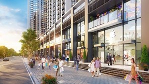 Shophouse khối đế - Lựa chọn sáng suốt cho nhà đầu tư sành sỏi