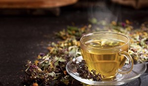 Trà Sơn Mật Hồng Sâm: Thảo dược quý vùng Tây Bắc