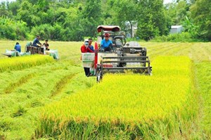 Dấu chân carbon: “Hộ chiếu xanh” nâng tầm nông sản Việt