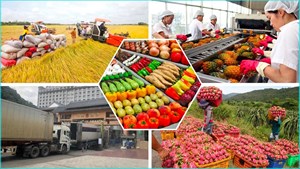 Nhu cầu thị trường lớn mở ra cơ hội cho xuất khẩu nông sản và thủy sản Việt Nam