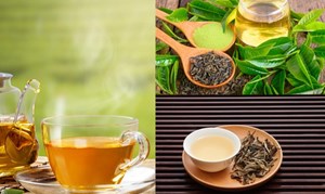 6 loại trà có lợi cho phổi