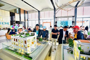 Sau Tết Nguyên đán 2026: Sức mua bật tăng ở phân khúc nhà ở nào?