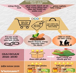 Hợp lực chính sách: Mở không gian phát triển mới cho OCOP và du lịch nông thôn