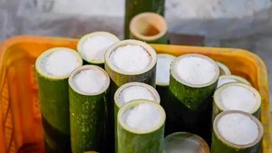 Muối tre Việt Nam: Gia vị truyền thống với công dụng sức khỏe vượt trội