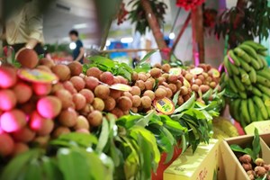 Hà Nội đặt mục tiêu xuất khẩu rau quả đạt 4 tỷ USD trong năm 2023