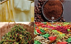 Xuất khẩu nông sản Việt Nam: Niềm vui từ giá cao và những tín hiệu lạc quan