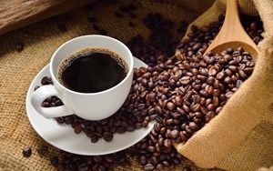 Liệu trà sữa có thể cạnh tranh với văn hóa cà phê lâu đời Việt Nam?