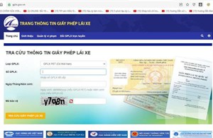 Cảnh báo nhiều website giả mạo tra cứu thông tin giấy phép lái xe