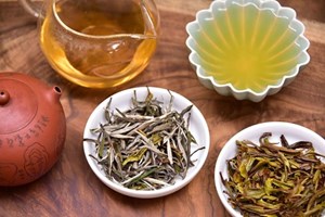 Cây chè cổ: Hương vị của thời gian và giá trị vô giá