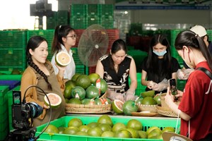 Vì sao nhiều nông sản vẫn "chật vật" trên sàn online?