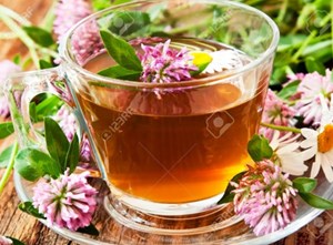 Khám phá những loại trà thảo mộc độc đáo của châu Âu