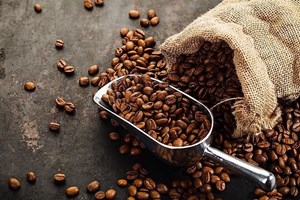 Cà phê Việt Nam lập kỷ lục giá xuất khẩu