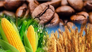 Thị trường phái sinh hàng hóa: Bước ngoặt vị thế cho nông dân Việt