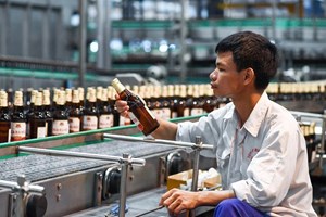 Chính sách thuế với ngành bia rượu: Cơ hội hay thách thức cho doanh nghiệp?