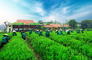 Thái Nguyên tháng 4: Sôi động Tuần lễ Văn hóa, Thể thao và Du lịch Xứ Trà