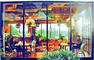 Thị trường đồ uống Việt Nam: Cạnh tranh khốc liệt và xu hướng mới trong ngành F&B
