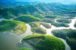 Đảo chè Cầu Cau: Sức hấp dẫn của 'Hạ Long thu nhỏ' giữa lòng xứ Nghệ