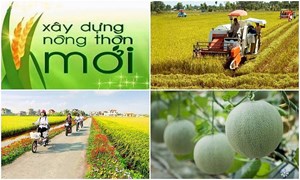 Định hướng phát triển kinh tế nông thôn trong giai đoạn mới