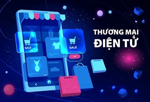 Thương mại điện tử Việt Nam 2025: Sẵn sàng cho giai đoạn tăng trưởng bền vững