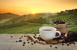 Cơ hội cho trà, cà phê Việt trong bức tranh đồ uống 2026