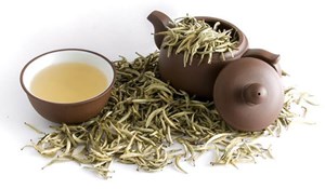 Trà trắng: Tinh hoa từ những búp trà non 