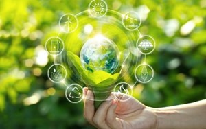 Nông sản Việt và hành trình Xanh hóa: Xu hướng hay cuộc cách mạng?