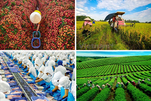 Tầm vóc của nông nghiệp Việt Nam nhìn từ mục tiêu 100 tỷ USD
