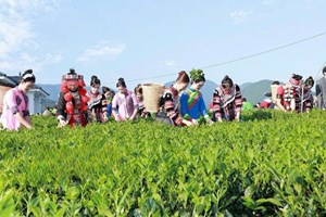 Thái Nguyên và tham vọng nâng tầm du lịch từ hương vị đệ nhất danh trà