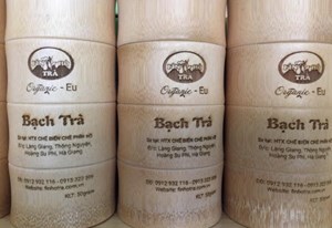 Golden Leaf Awards gọi tên Phìn Hồ: Vẻ vang trà Việt giữa 683 đối thủ toàn cầu