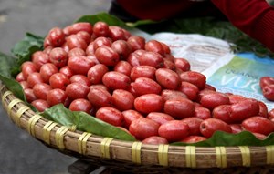Mùa quả đỏ: Nhót, dâu tằm và những ký ức mùa hè của người Việt