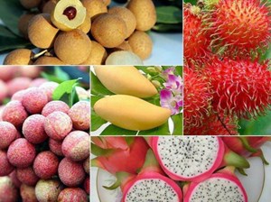 Nông sản Việt vươn xa: Đầu tư hạ tầng, đón đầu xu hướng xuất khẩu