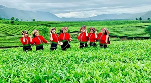 Trải nghiệm văn hóa trà Việt Nam qua những lễ hội trà độc đáo
