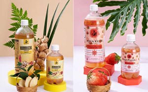 Trà lên men: Cuộc cách mạng vị giác trong ly cồn thế hệ mới