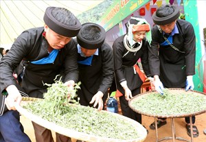 Dấu ấn Lễ hội "Miền Chè Di Sản" 2026