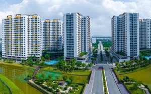 Căn hộ, đất nền hay nhà phố: Nên đầu tư loại hình nào?