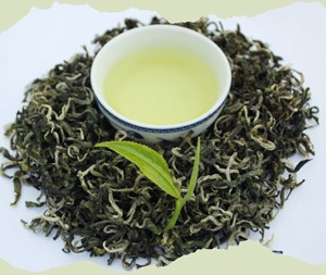 Trà Shan tuyết – “Tủ thuốc tự nhiên” từ vùng núi cao Hà Giang