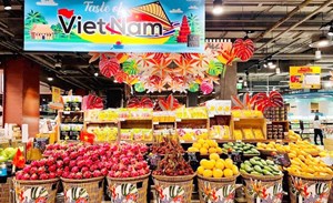 Thị trường Thái Lan: Điểm đến tiềm năng cho trái cây và gia vị Việt Nam