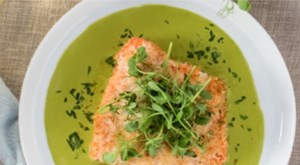 Matcha và hành trình chinh phục thế giới món mặn