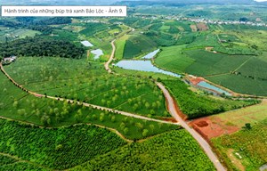 Bảo Lộc và hành trình đưa hương vị Cao Nguyên vươn ra thế giới