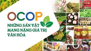 Từ phiên chợ quê đến sàn TMĐT: Sản phẩm OCOP và khát vọng vươn xa