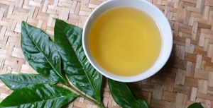 Chè Tây Côi Sơn: Chuyện kể từ những cành chè “bánh tẻ”