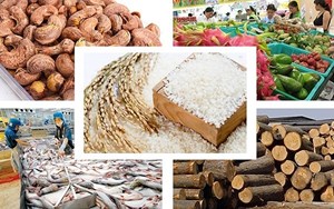 Xuất khẩu các mặt hàng nông sản của Việt Nam vẫn đối diện nhiều khó khăn