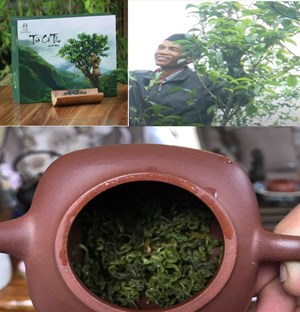 Sà Dề Phìn: Viên ngọc lục bảo trong kho tàng trà Việt