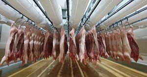Quý 1/2023 xuất khẩu thịt và các sản phẩm từ thịt của Việt Nam tăng 70,3% về lượng so với cùng kỳ