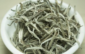 Bạch trà Shan tuyết: Tinh hoa trà trắng vùng cao