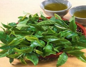 Uống bao nhiêu nước chè xanh mỗi ngày là đủ?